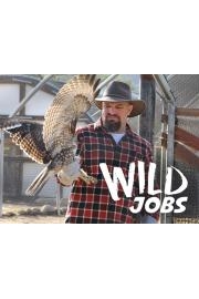 Wild Jobs