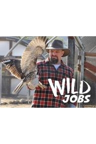 Wild Jobs