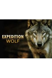 Expedition Wolf