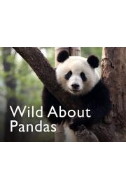 Wild About Pandas