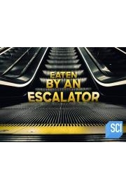 Eaten by an Escalator