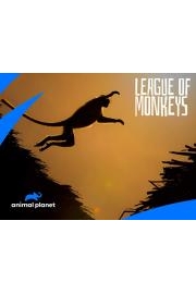 League of Monkeys
