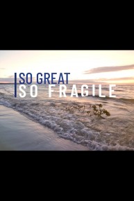 So Great, So Fragile
