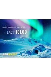 The Last Igloo