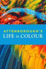 Life in Color With David Attenborough
