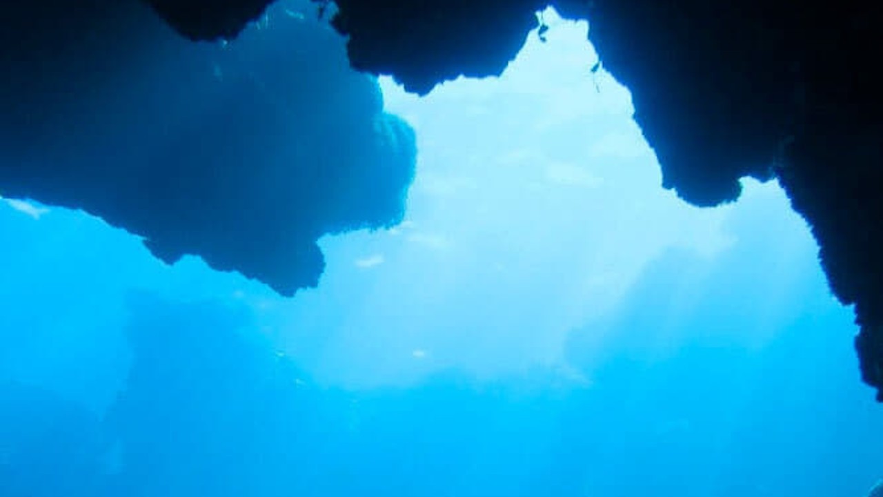 Chasing Ocean Giants