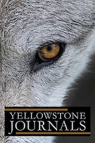 Yellowstone Journals