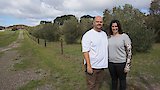 Adelaide Hills SA: The Steeles