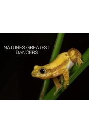 Nature's Greatest Dancers