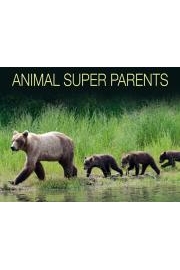 Animal Super Parents