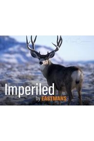 Imperiled: A Mule Deer Migration Short Film