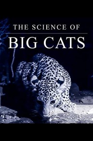 The Science Of Big Cats