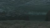 Tides and Currents of Death
