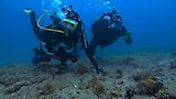 Legend of the Adriatic