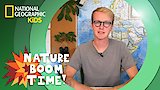 Coastal Redwoods vs. Giant Sequoias