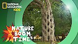 Twisting Trees