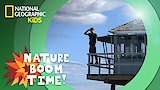 Fire Towers