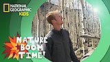 Tree Clones