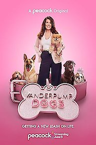 Vanderpump Dogs