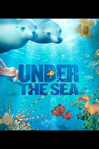 Under the Sea