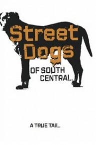 Street Dogs Of South Central