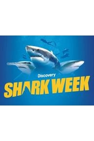 Shark Week 2021