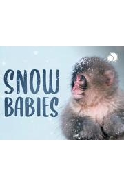 Snow Babies