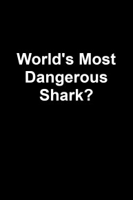 World's Most Dangerous Shark?