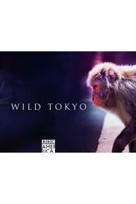 Wild Tokyo