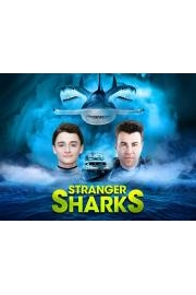 Stranger Sharks