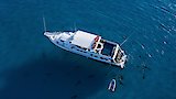 Diving With Giant Hammers