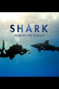 Shark - Beneath the Surface
