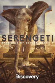 Serengeti II