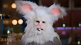 Robbie the Rabbit
