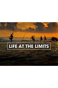 Life At The Limits
