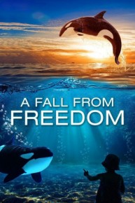 A Fall From Freedom