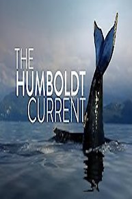 The Humboldt Current