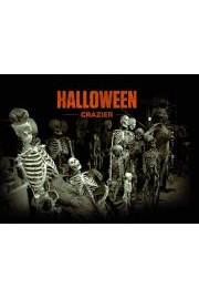 Halloween Crazier