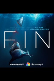 Fin