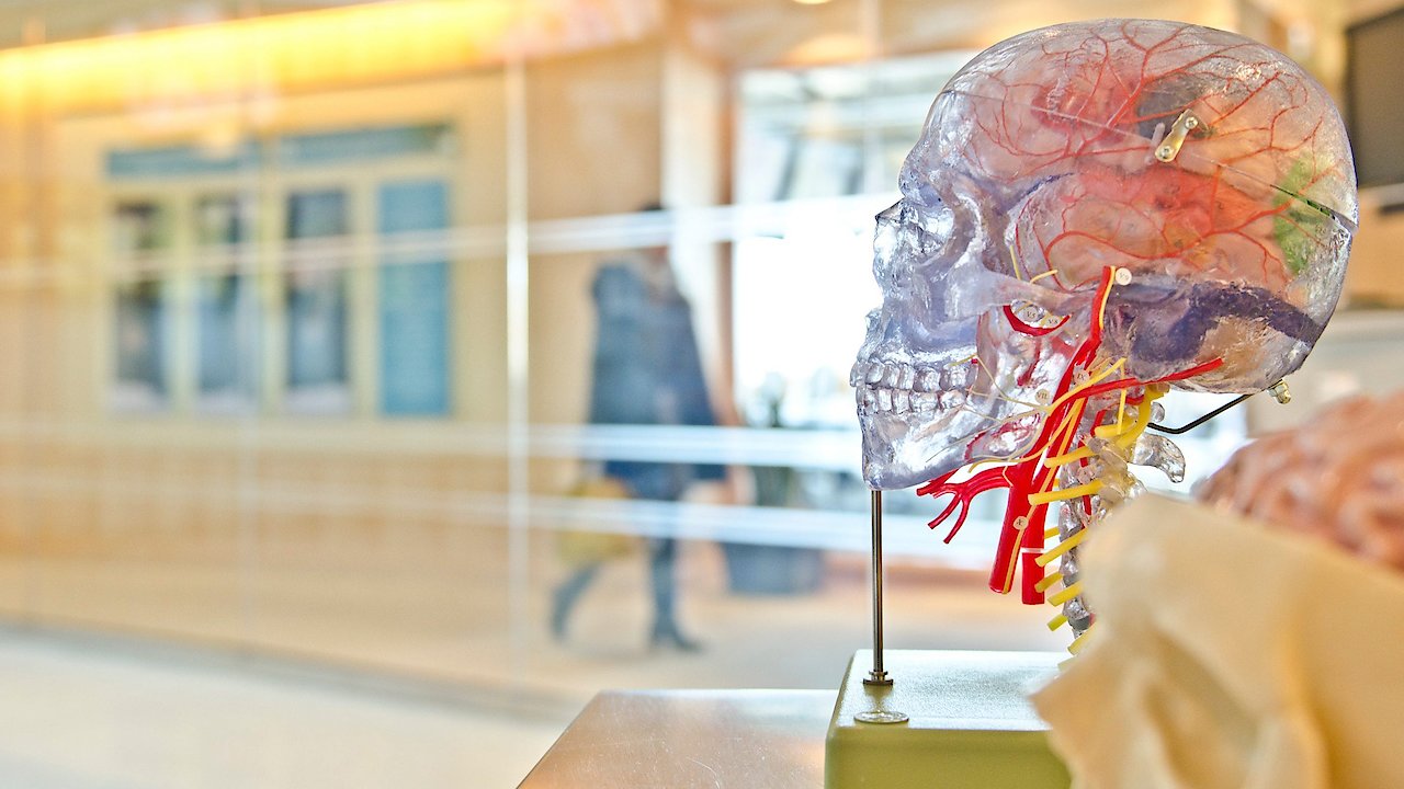 Secrets of the Brain