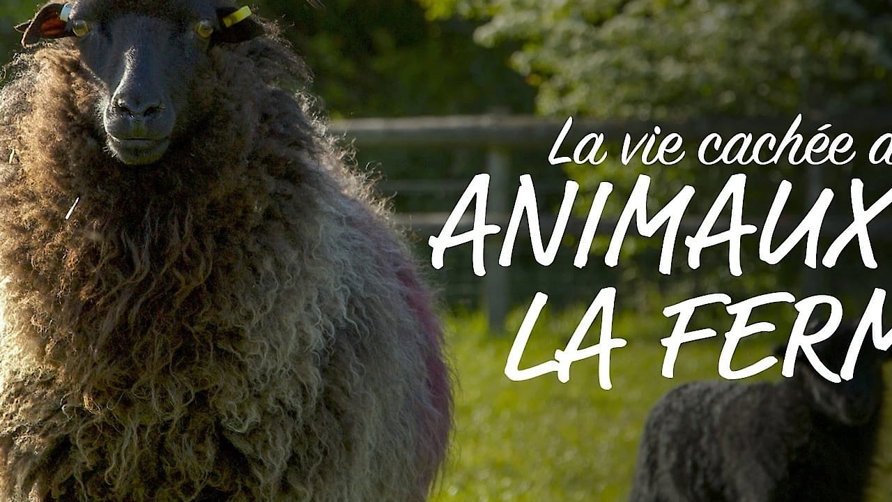 Wild Tales From the Farm