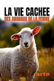 Wild Tales From the Farm
