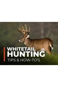 Whitetail Hunting Tips & How-To's