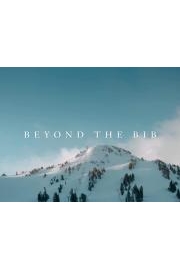 Beyond the Bib