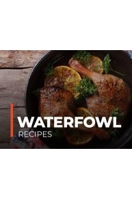 Waterfowl Recipes