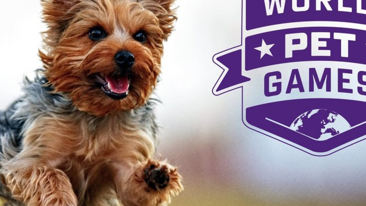 World Pet Games