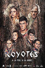 The Coyotes