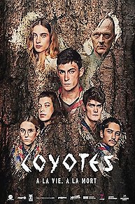 The Coyotes