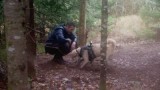 Barking Up the Wrong Tree
