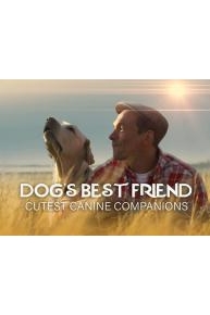 Dogâ€™s Best Friend: Cutest Canine Companions